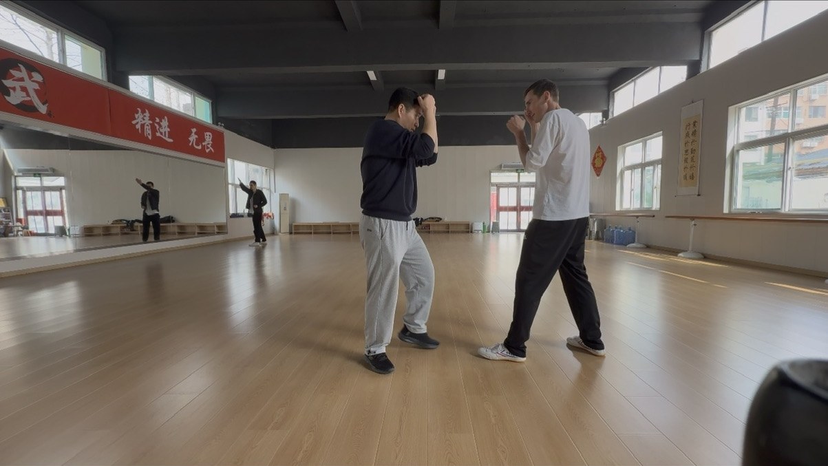 Sanda · elbow defence