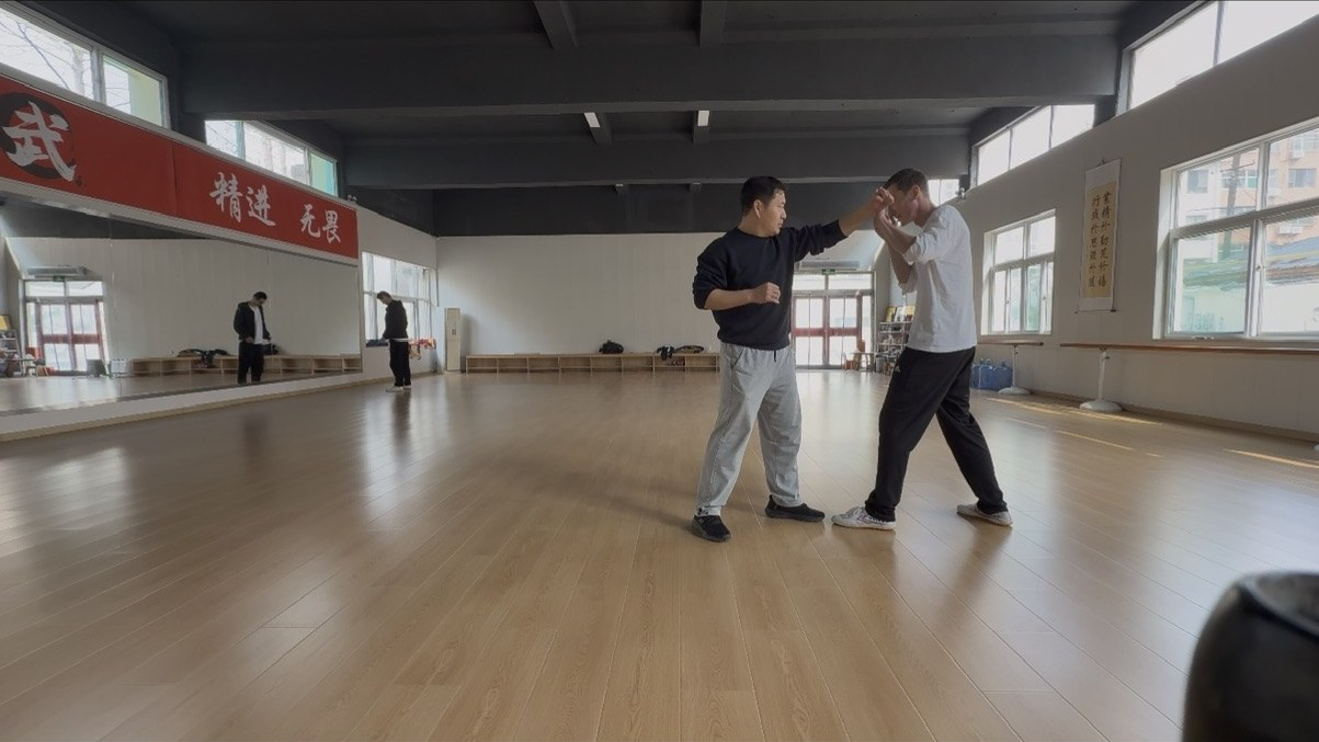Sanda · push hands